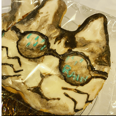 猫サラダ2種