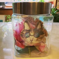 その他3種(グラサン猫とアジ/アジと花/シマウマとペンギン)