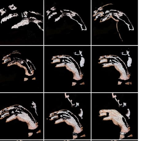 影絵の手(犬か何か)(自分で着ています)