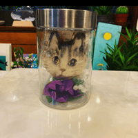 猫水槽2種