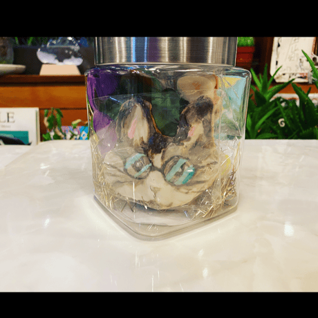猫タルト、猫水槽