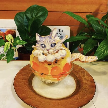 ぼったくりシリーズ①〜パール付き猫かき氷〜