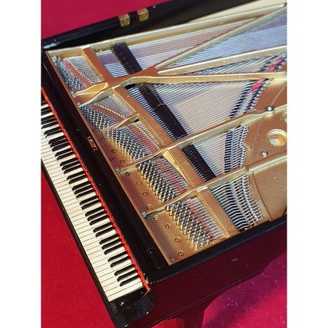 1:20 レジスタンス ピアニスト Resistance Pianist