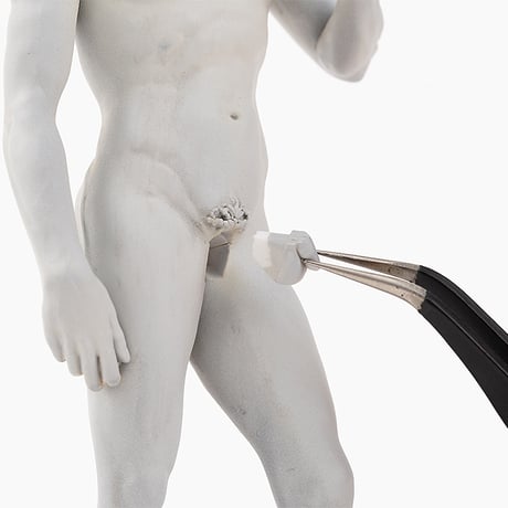 ダビデ像 Michelangelo's DAVID PLASTIC MODEL KIT