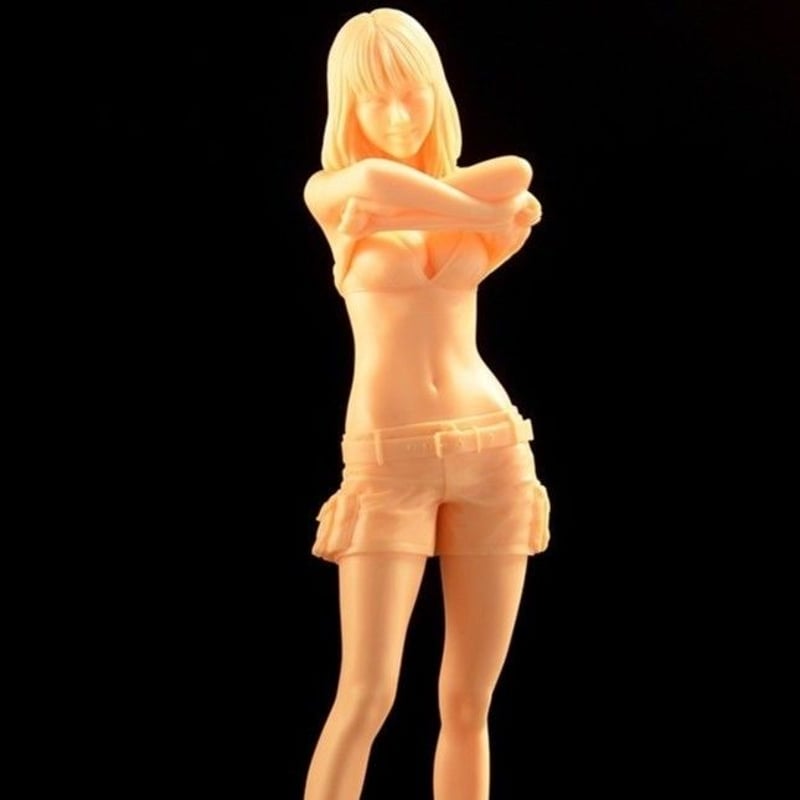 ガレージキット　ミラクルガール　塗装済　　一点物 ガレージキット ミラクルガール 塗装済 一点物 Amazon