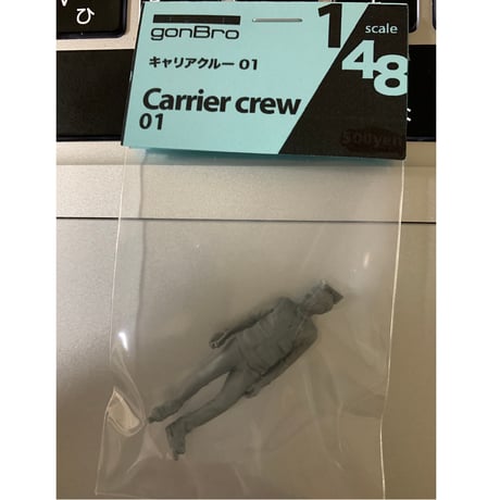 1:48  GaPPa  PROJECT Carrier crew  Figure 01
