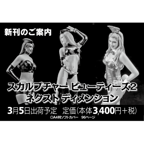 【BOOK】スカルプチャー ビューティーズ2: ネクスト ディメンション SCULPTURE BEAUTY'S 2: NEXT DIMENSION
