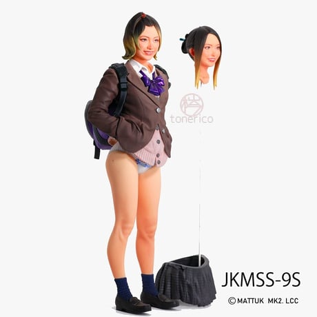 1:9 JKMSS-9S