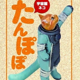 RAPTURE】たんぽぽシリーズ新製品入荷！ | tonerico：tokyo hobby