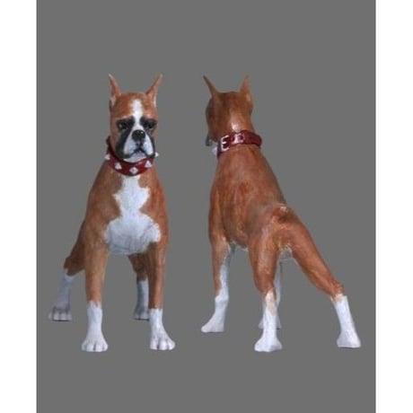 1:24 SHOTGUN & BOXER