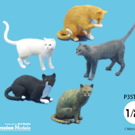 ネコとハス CATEGORY CAT・ANIMAL | tonerico：tokyo hobby market