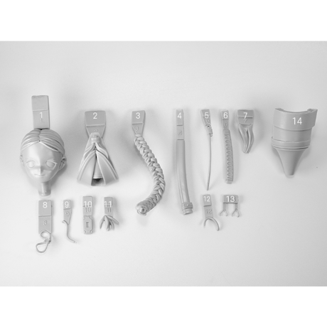 BMS-005 BUST