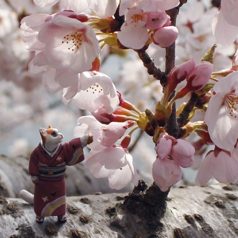 和たんぽぽ 「おかみ」OKAMI | tonerico：tokyo hobby market