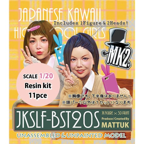 1:20 JKSLF-BST 20S