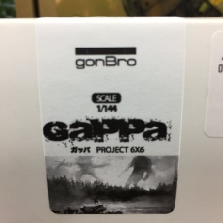 1:100 GaPPa  PROJECT 6×6