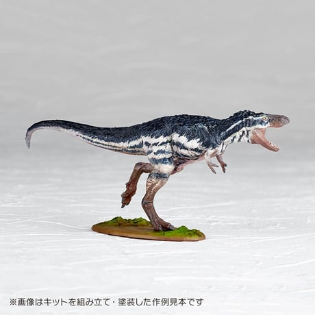 ARTPLA 1:35 ティラノサウルス（幼体）Tyrannosaurus (juvenile)