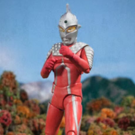 CATEGORY b | tonerico：tokyo hobby market