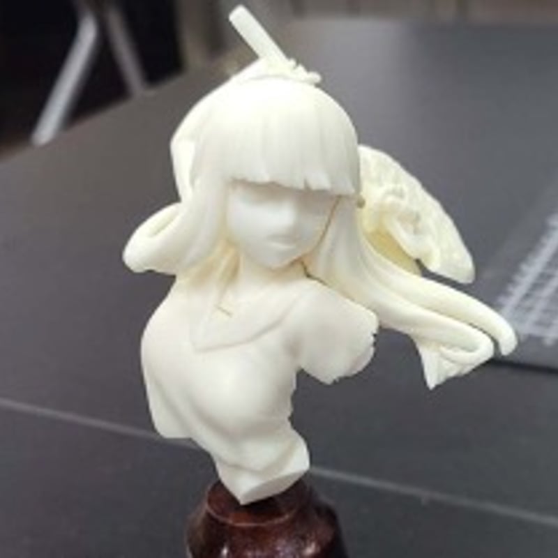 SHIPPING AT DEC] 工房破滅者ゾンコ ZONKO | tonerico：tok