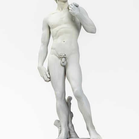 ダビデ像 Michelangelo's DAVID PLASTIC MODEL KIT