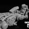 1:20 GOLDFISH LANDBUSTER