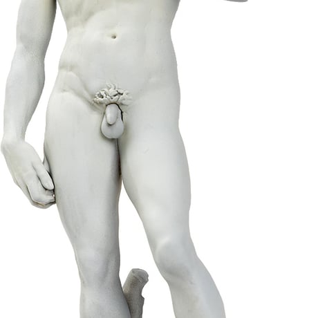 ダビデ像 Michelangelo's DAVID PLASTIC MODEL KIT