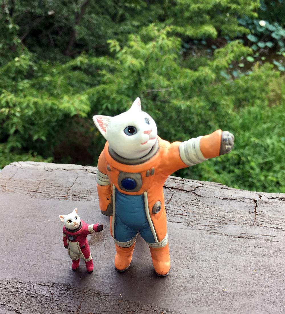 しゃむだんぽさん Amazon.co.jp: シナダ フモフモさん ぽぽた (L) ピンク FMPP