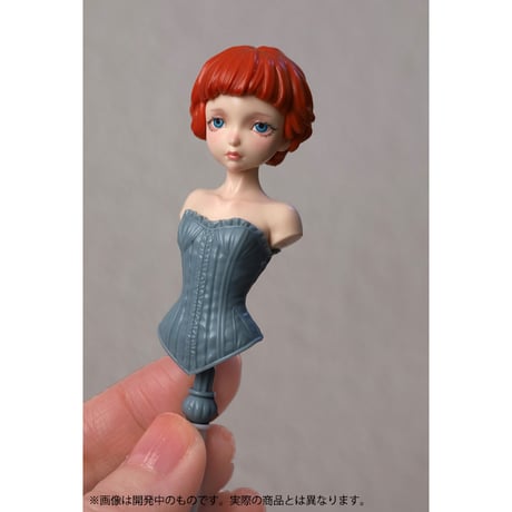 レディトルソー  LADY TORSO