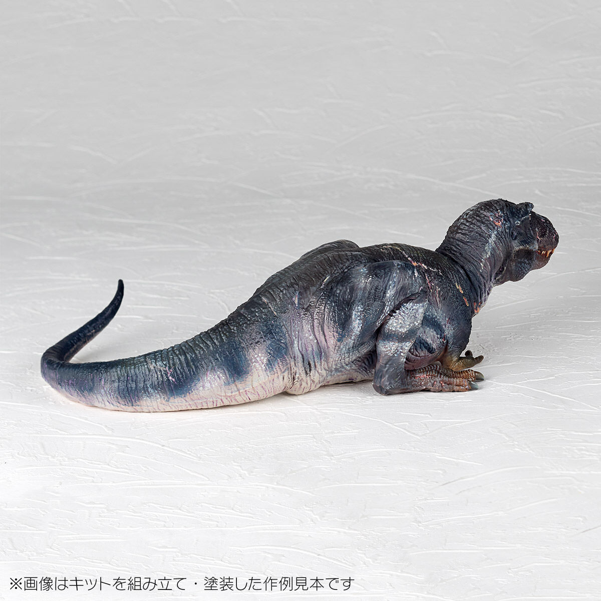 獣医内科学 第3版 伴侶動物&産業動物編セット（伴侶動物獣医学