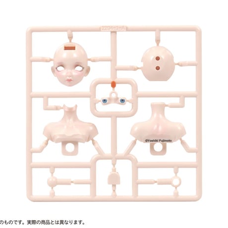 レディトルソー  LADY TORSO