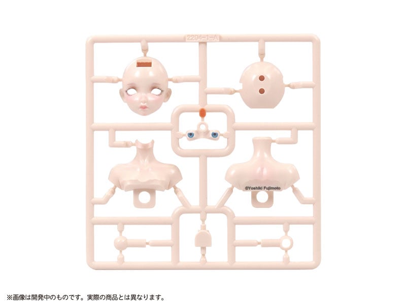 レディトルソー LADY TORSO | tonerico：tokyo hobby market