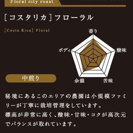 【ソニアコーヒービーンズバック】コスタリカフローラル200g