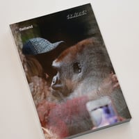 O Fluxo : Flatland Reader