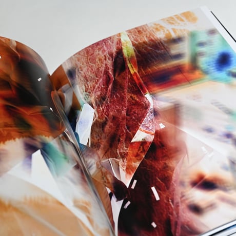 Shape of the Images / イメージの形 : Tomoya Fujii / 藤井智也
