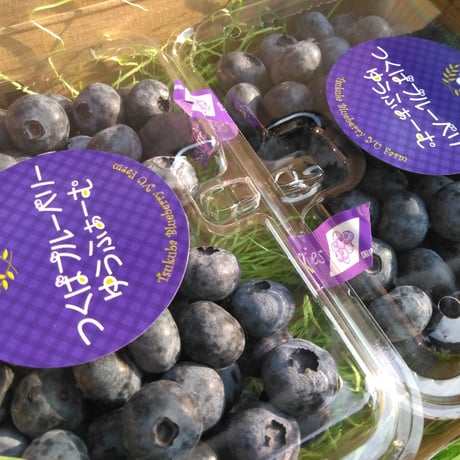 「お手頃５００ｇ」ブルーベリー