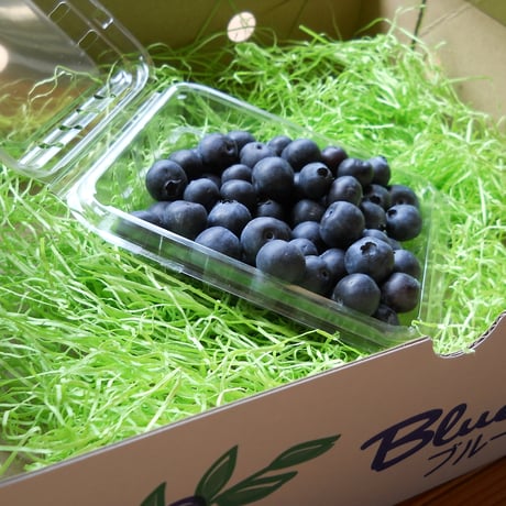 「小分けパック750ｇ」ブルーベリー
