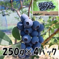 「たっぷり１０００ｇ（250g×4P）」ブルーベリー