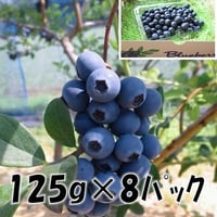 「たっぷり１０００ｇ（125g×8P)」ブルーベリー