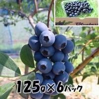 「小分けパック750ｇ」ブルーベリー