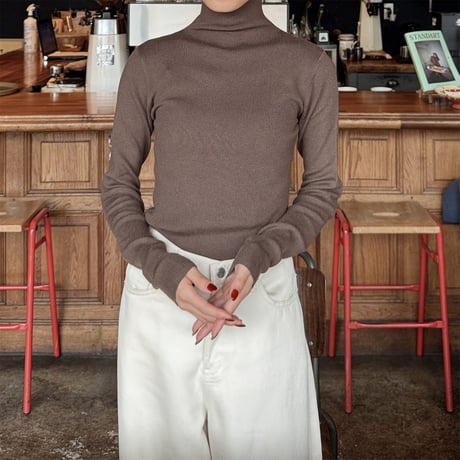basic turtleneck knit