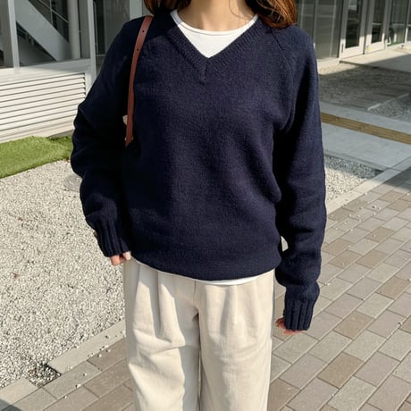 daily V neck knit
