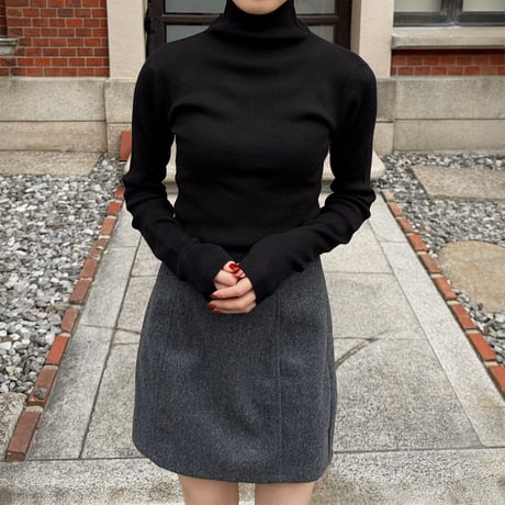 basic turtleneck knit