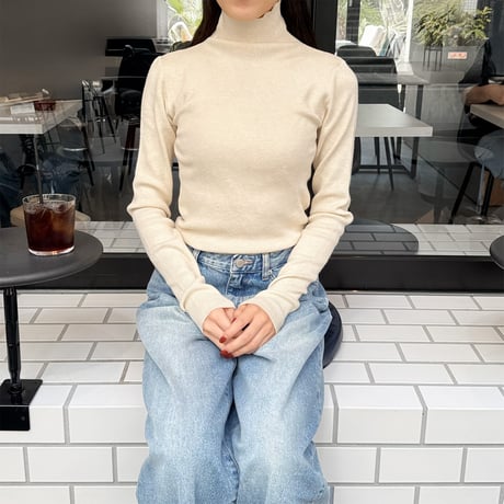 basic turtleneck knit