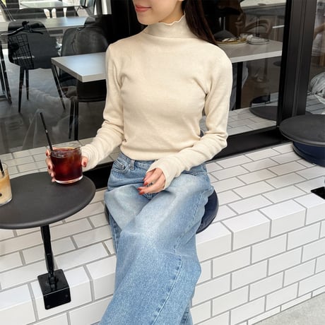 basic turtleneck knit