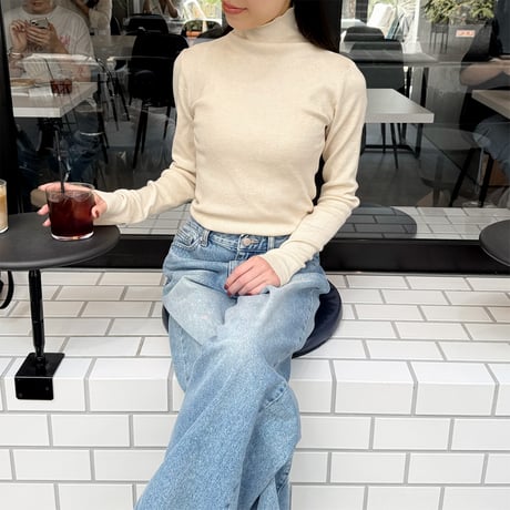 basic turtleneck knit