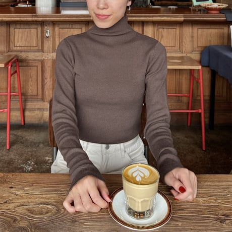 basic turtleneck knit