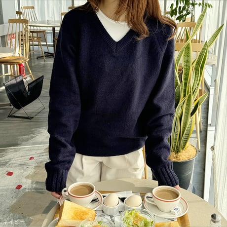 daily V neck knit