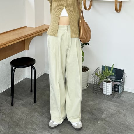 tuck twill wide pants