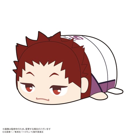 ハイキュー!!　ぽてコロマスコット2