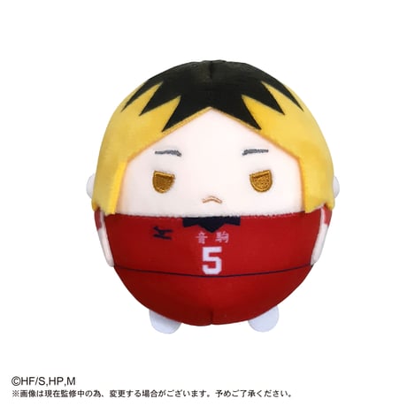 ハイキュー!!　ふわコロりん2