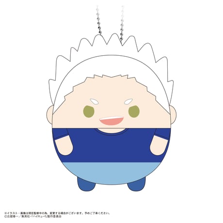 ハイキュー!!　ふわコロりん10